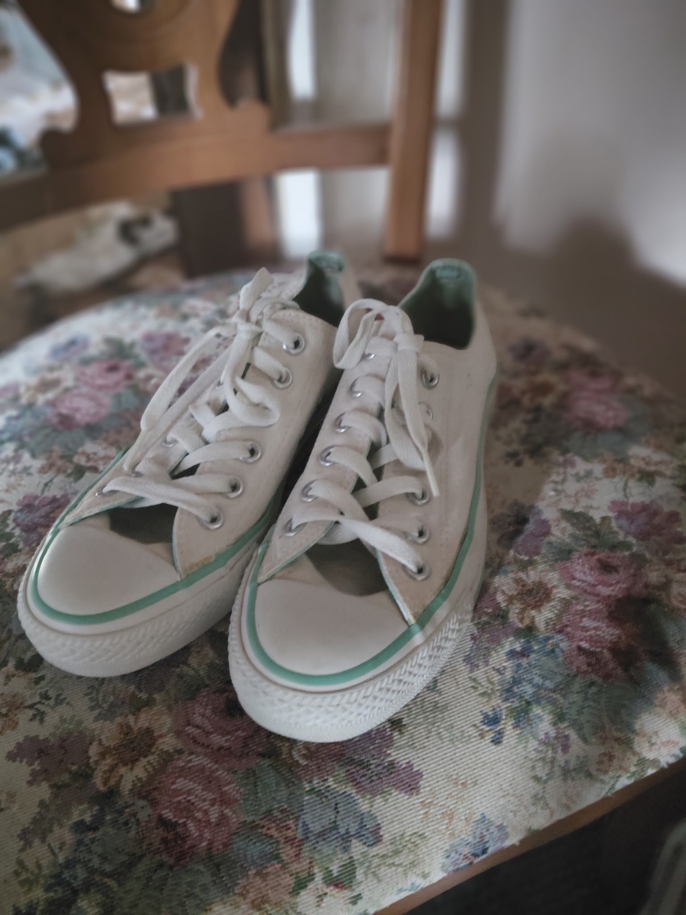 Converse Low-Top Canvas Sneakers in White with Mint Accents